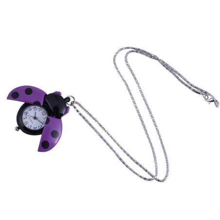 Vue générale Montre Coccinelle "Chronos Jardinier" Couleur Violet
