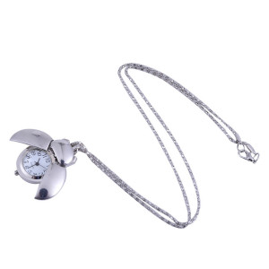 Vue générale Montre Coccinelle "Chronos Jardinier" Couleur Argent