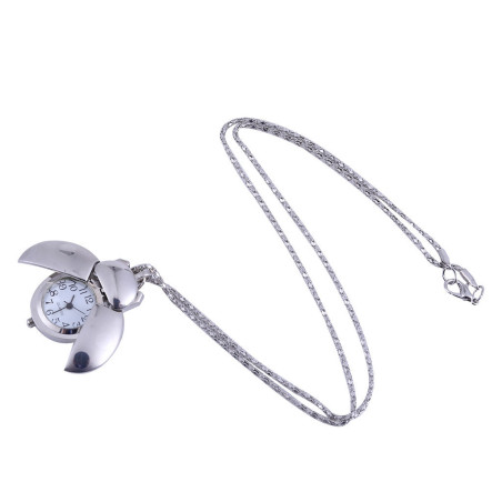 Vue générale Montre Coccinelle "Chronos Jardinier" Couleur Argent