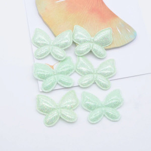 Écussons Papillon à coudre Papillon couleur Vert