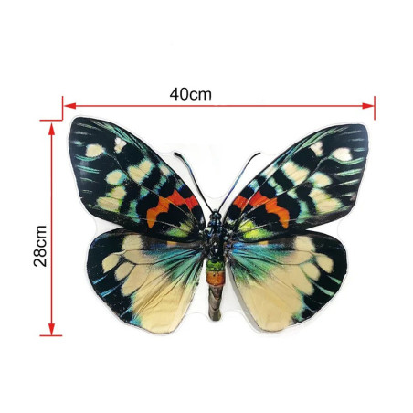 Grand Autocollant Papillon 40 cm - Modele 2