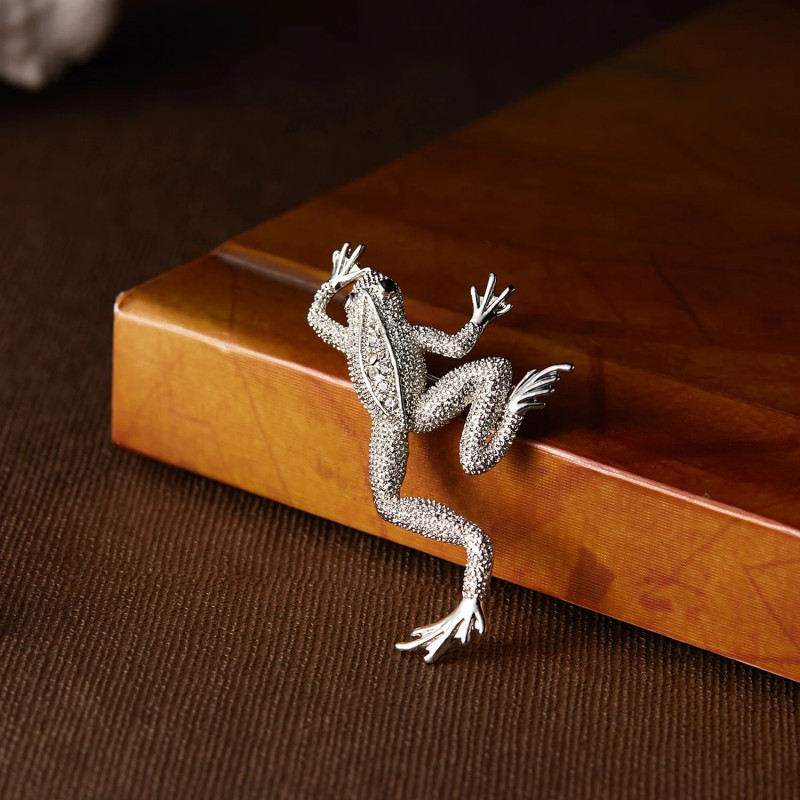 Broche Grenouille Miroir des Étoiles - couleur argent