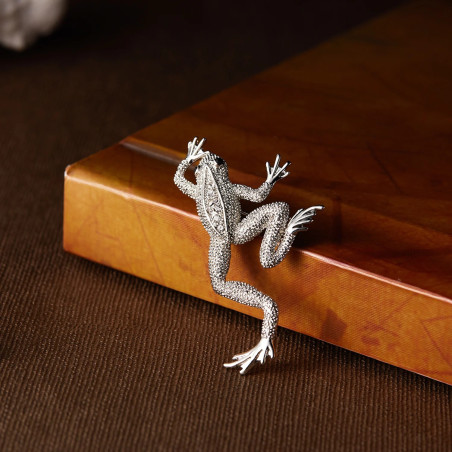 Broche Grenouille Miroir des Étoiles - couleur argent