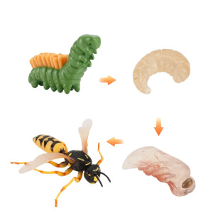 Hornet Life Cycle Figurines | Educational STEM Toy for Kids