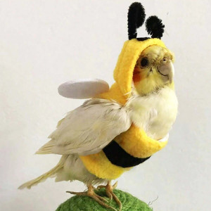 Costume Abeille pour Oiseaux de Compagnie 'Petit Bourdon Ailé'