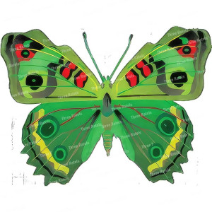Cute Butterfly Sticker | Colorful & Durable PVC Wall Decal