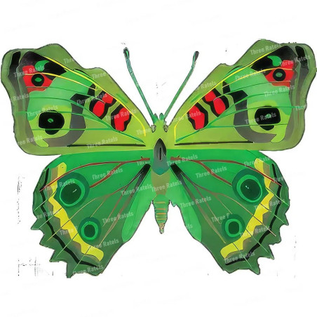 Cute Butterfly Sticker | Colorful & Durable PVC Wall Decal