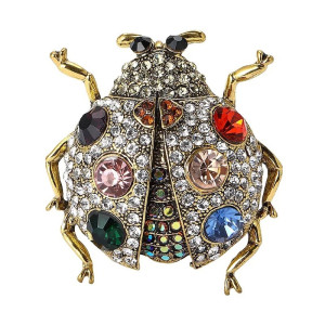 Broche Coccinelle Éclatante - Bijou Unique pour Amoureux des Insectes