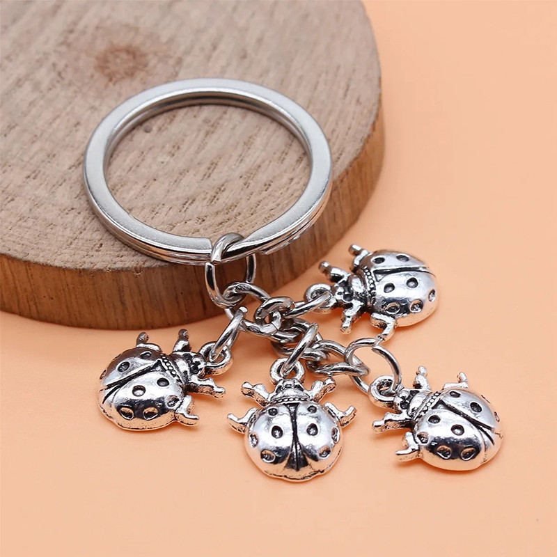 Cute Ladybug Keychain | Unique Good Luck Charm Gift Idea