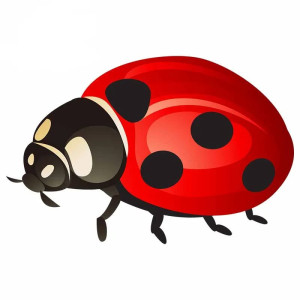 Autocollant Coccinelle 'Rouge Chance' -  10 cm