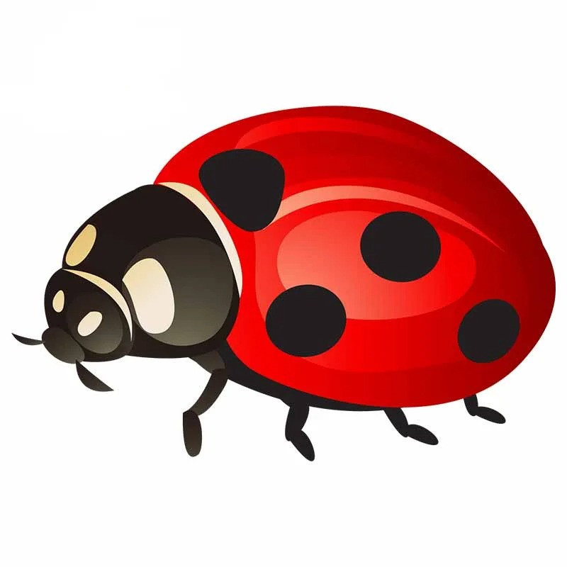 Autocollant Coccinelle 'Rouge Chance' -  10 cm