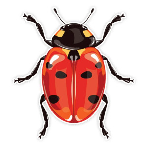 Cute Vintage Ladybug Sticker | Durable PVC Decal for Laptops