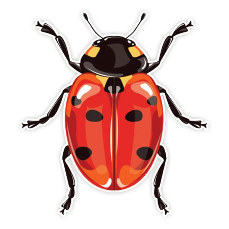 Cute Vintage Ladybug Sticker | Durable PVC Decal for Laptops