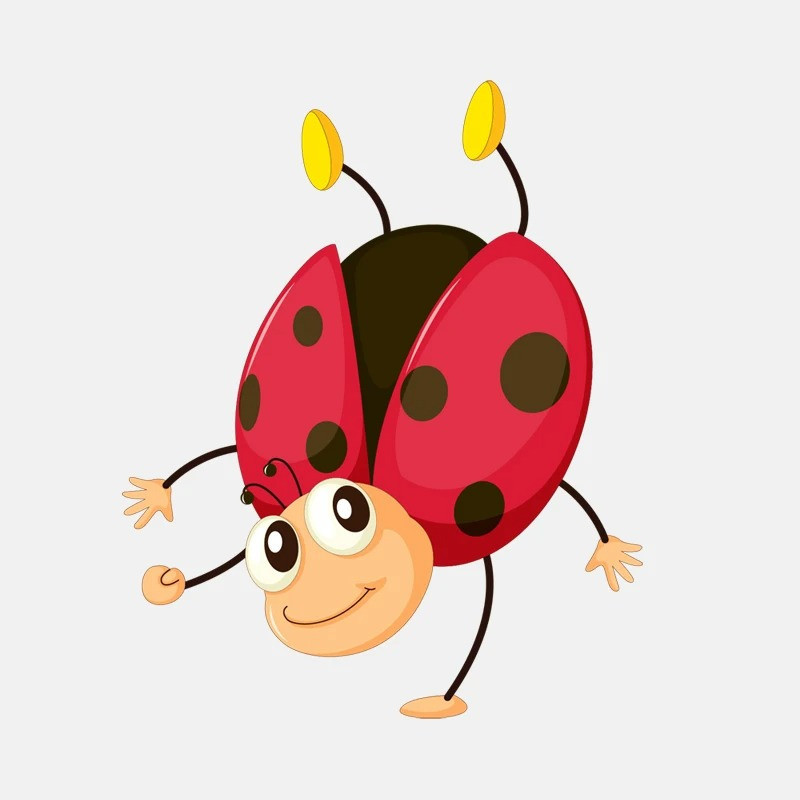 Sticker Coccinelle Acrobate Drôle | Idée Cadeau Originale