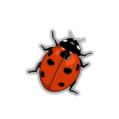 Cute Lucky Ladybug Decal | Waterproof Vinyl Sticker for Laptops