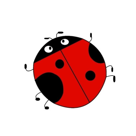 Sticker Coccinelle Surprise | Autocollant Vinyle Drôle & Mignon