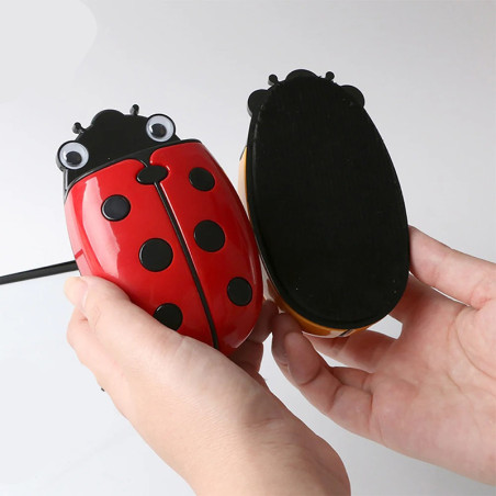 Pot Magnétique Coccinelle | Rangement Bureau & Salle de Classe