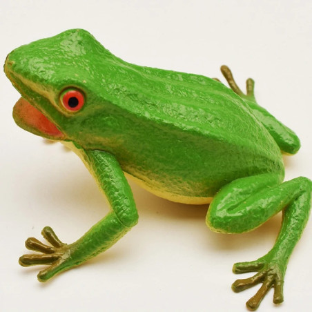 Jouet Grenouille à Presser qui Coasse | Cadeau Mignon & Drôle