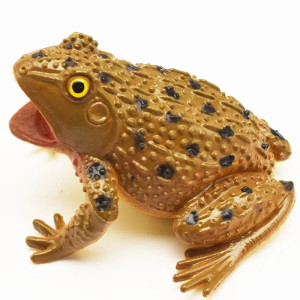 Jouet Grenouille à Presser qui Coasse | Cadeau Mignon & Drôle
