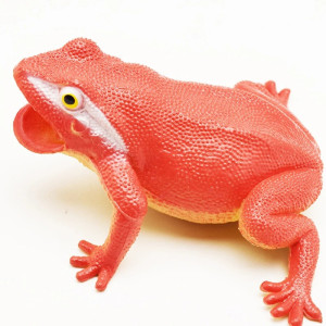 Jouet Grenouille à Presser qui Coasse | Cadeau Mignon & Drôle