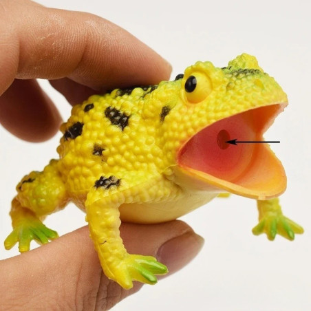 Jouet Grenouille à Presser qui Coasse | Cadeau Mignon & Drôle
