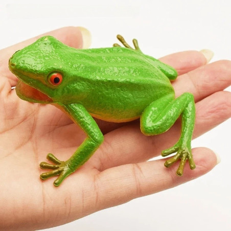 Jouet Grenouille à Presser qui Coasse | Cadeau Mignon & Drôle
