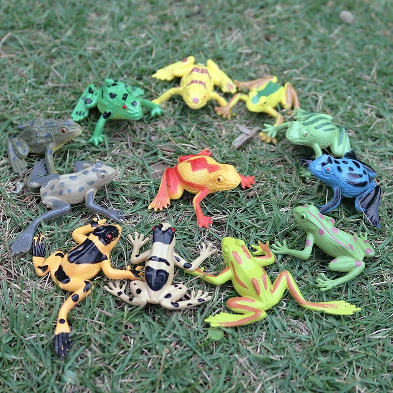 12 Mini Figurines Grenouilles Réalistes | Jouet Éducatif