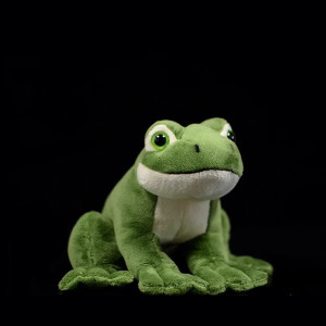 Peluche Grenouille Curieuse | Douce & Réaliste | Doudou Mignon