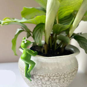 Accroche-Pot Grenouille Mignonne | Déco Jardin Résine (4 Modèles)