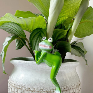 Cute Frog Pot Hanger | Resin Garden Decor (4 Styles)