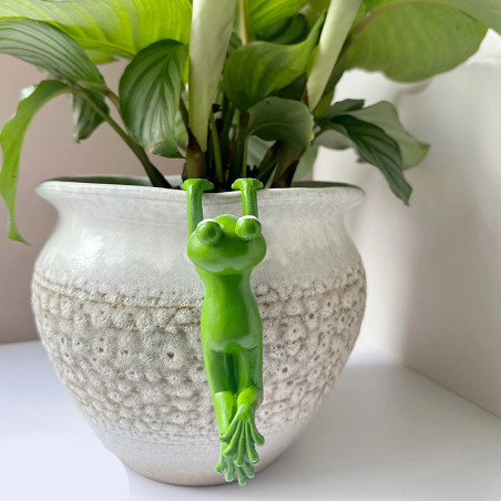 Frosch Deko Garten aus Harz – Figur zum Aufhängen (4 Stile)
