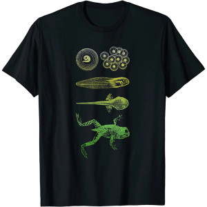 T-shirt Évolution Grenouille | Cycle de Vie & Motif Original