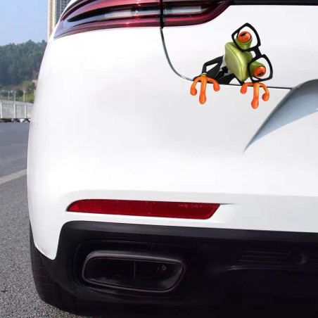 Sticker Grenouille Espiègle | Autocollant Drôle Voiture & PC