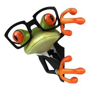 Mischievous Frog Sticker | Funny Car, Laptop & Moto Decal