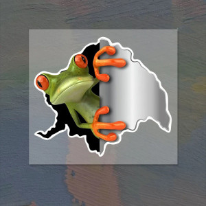 Aufkleber Neugieriger Frosch – 2er Set 3D Sticker – 15x13 cm