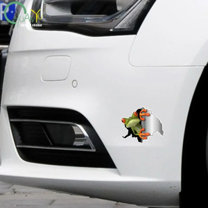 Stickers Grenouille 3D (Lot de 2) | Autocollant Auto & Mur