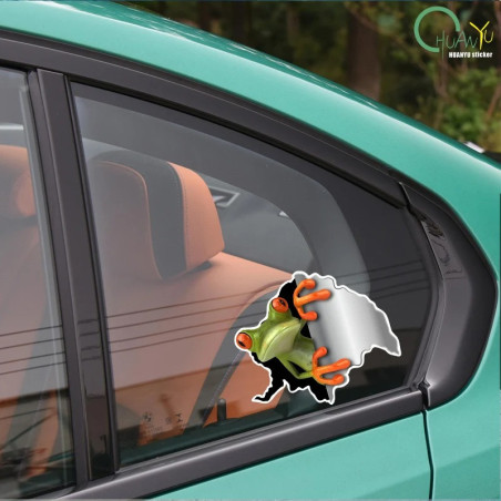 Stickers Rana Curiosa – Pack 2 Pegatinas 3D Realistas – 15x13 cm
