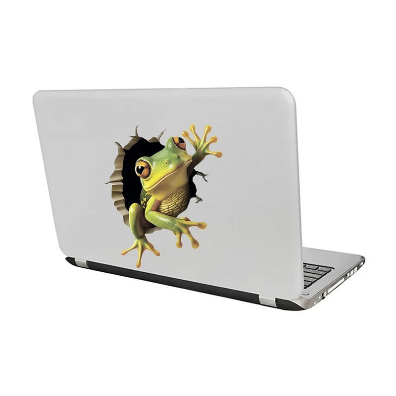 Sticker Grenouille 3D Effet Mur Fissuré | 4 Tailles