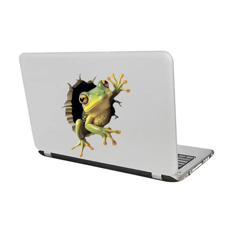 Sticker Grenouille 3D Effet Mur Fissuré | 4 Tailles
