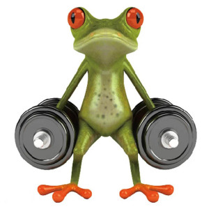 Sticker Grenouille Musculation Drôle | Déco Fitness & Gym