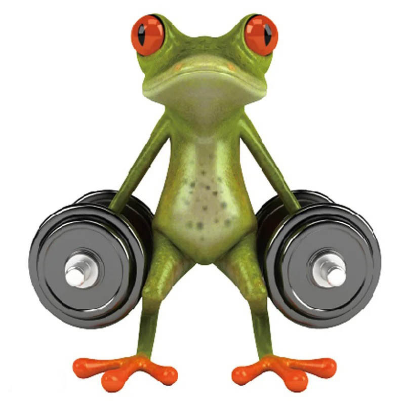 Funny Weightlifting Frog Sticker | Cute Gym Decal for Fitness