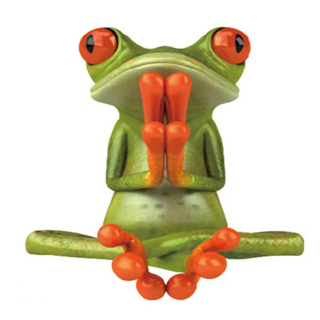 Zen Meditation Frog Sticker – Funny & Cute Vinyl Decal