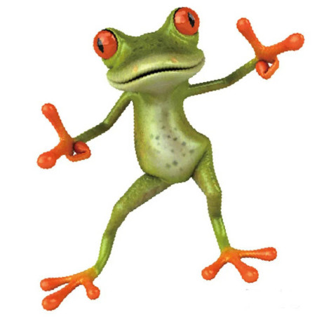 Sticker Grenouille Drôle | Autocollant Vinyle Vintage Groovy