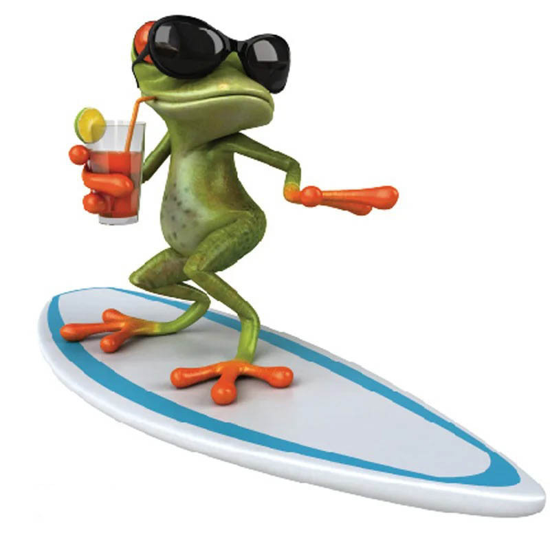 Funny Surfer Frog Sticker | Cute Vinyl Decal for Laptops