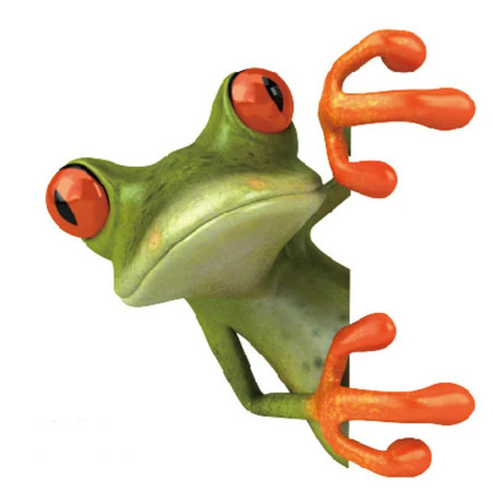 Sticker Grenouille Trompe-l'œil | Autocollant Mural Original