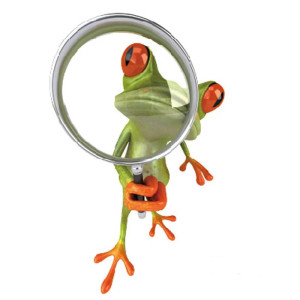 Sticker Grenouille Détective Drôle | Autocollant Vinyle Mignon