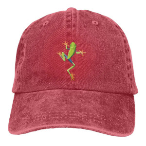 Cute Frog Hat | Embroidered Tree Frog Vintage Dad Hat 🐸