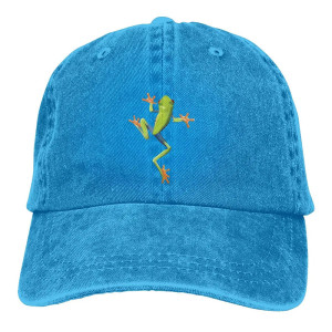 Cute Frog Hat | Embroidered Tree Frog Vintage Dad Hat 🐸