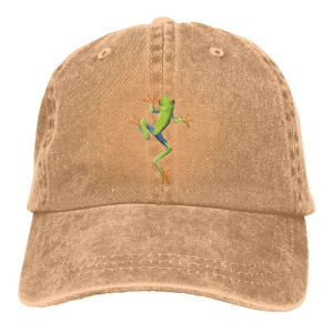 Cute Frog Hat | Embroidered Tree Frog Vintage Dad Hat 🐸