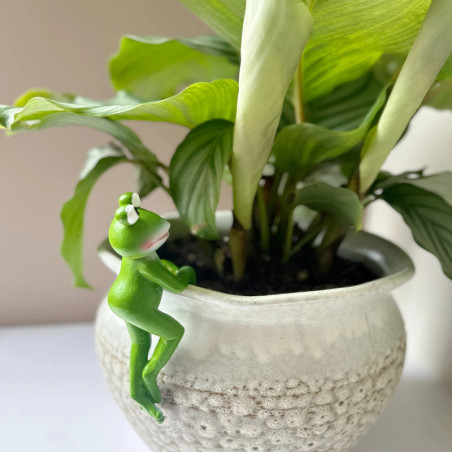 Accroche Pot Grenouille Mignonne | Déco Plante Résine Originale